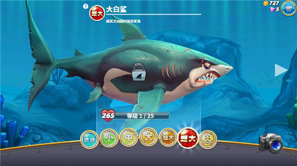 饥饿鲨世界国际服正版(Hungry Shark)